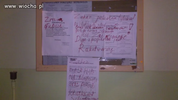 Sąsiedzi...