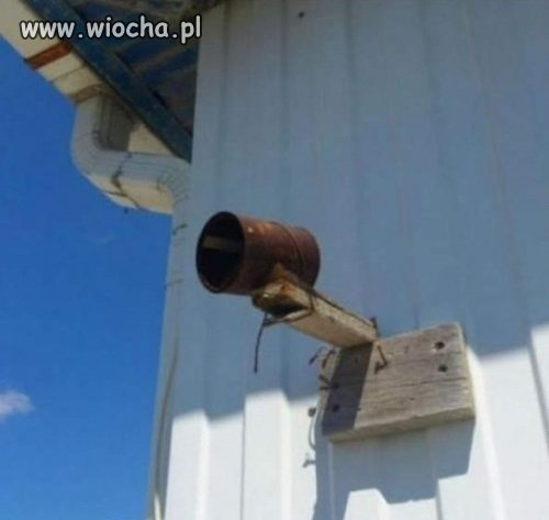 I mysz się nie prześlizgnie