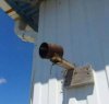 I mysz się nie prześlizgnie