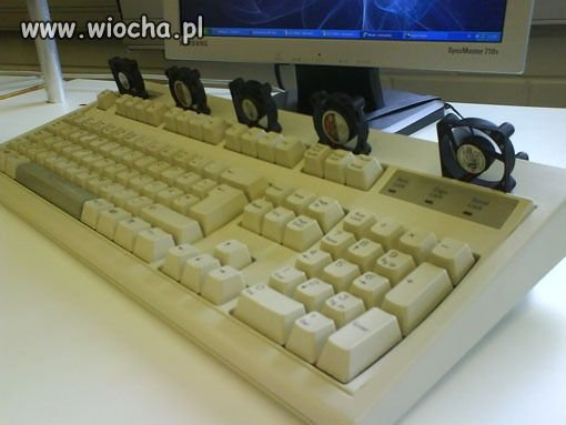 Dla ochłody  