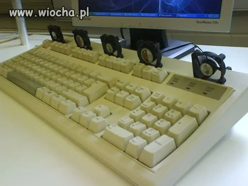 Dla ochłody  