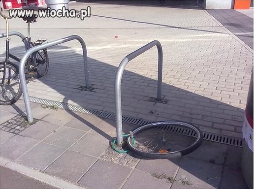 Chamstwo jest w śród Nas...