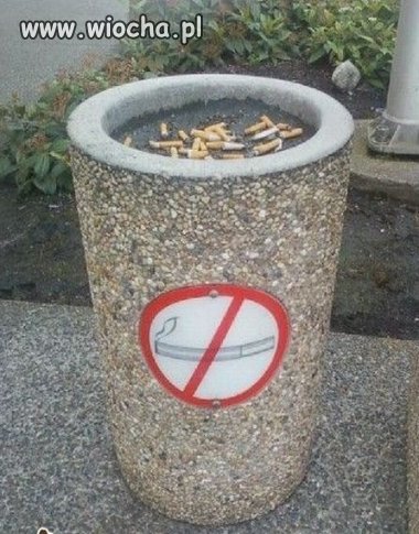 Bardzo logiczne