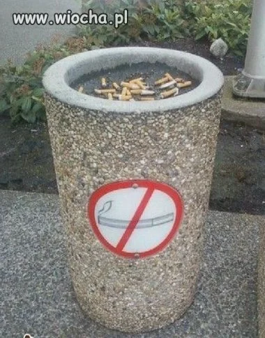 Bardzo logiczne