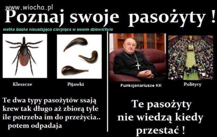 Pasożyty!