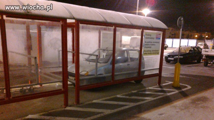 Pierwszy atak zimy w Szczecinie
