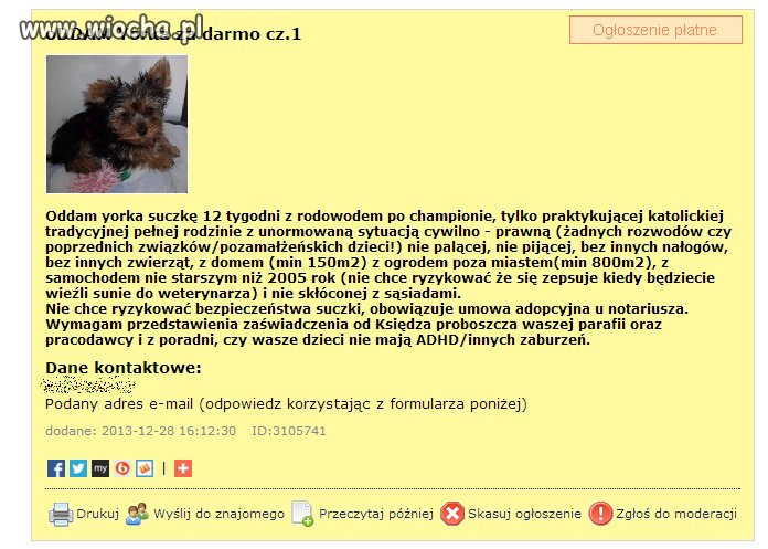Oddam Yorka praktykującej katolickiej rodzinie