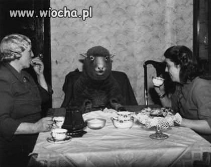Moje plany na wieczór