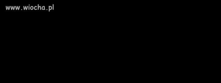 Element galerii