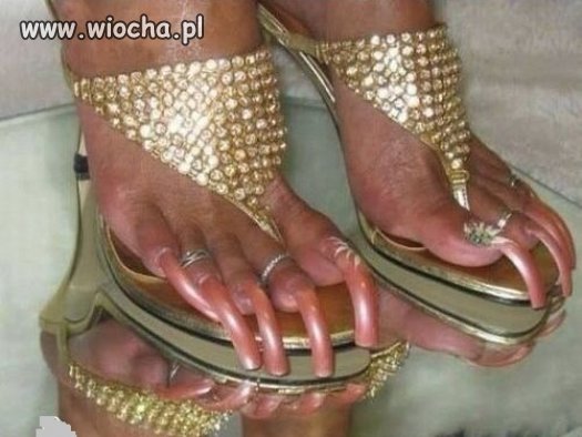 Prawdzwa kocica