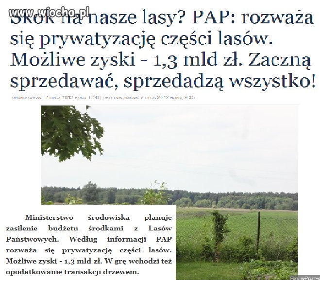 Prywatyzacja lasów,  media milczą!