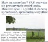 Prywatyzacja lasów,  media milczą!