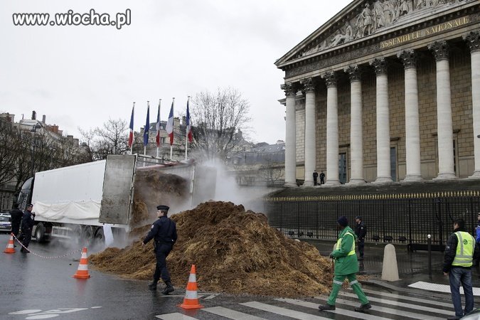 Tony łajna przed parlamentem Francji