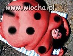Biedroneczki