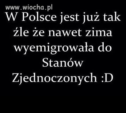 Akurat ta emigracja mi nie przeszkadza