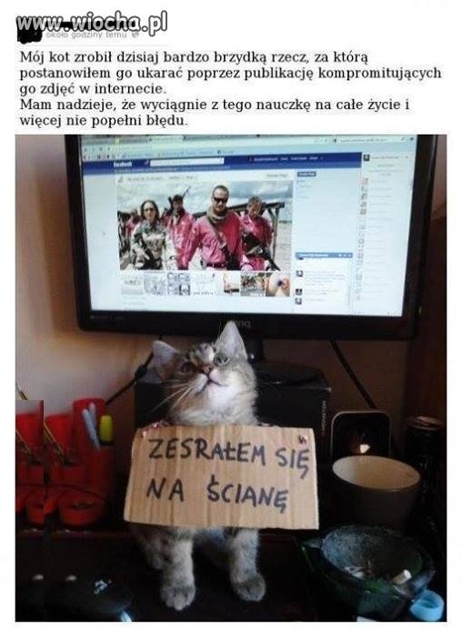 Ten kot powinien go pozwać 