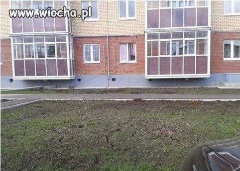 Z psem na spacerze