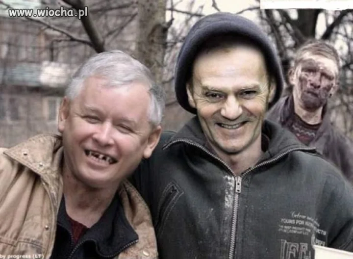 Żwirek i muchomorek.