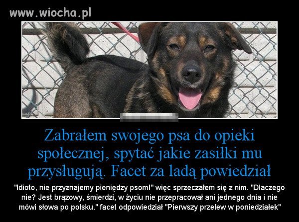 Nie jestem rasistą