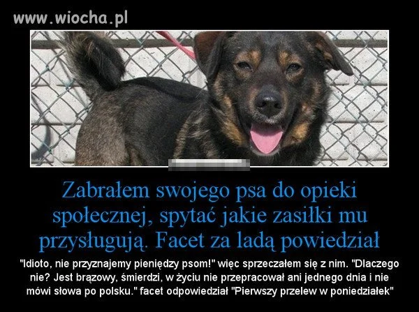 Nie jestem rasistą