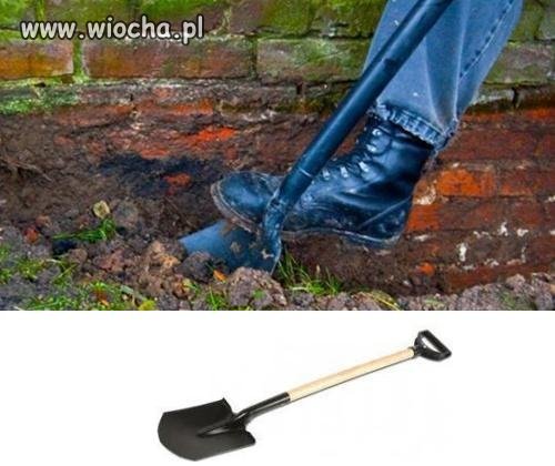 Studencie "Zielona Wyspa" Donalda czeka na was.