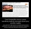 Unia Europejska i jej durne przepisy