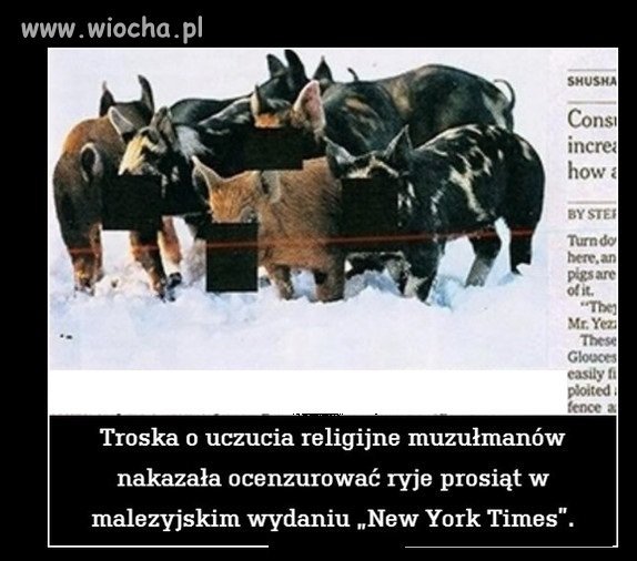 Co to za Religia...