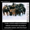 Co to za Religia...