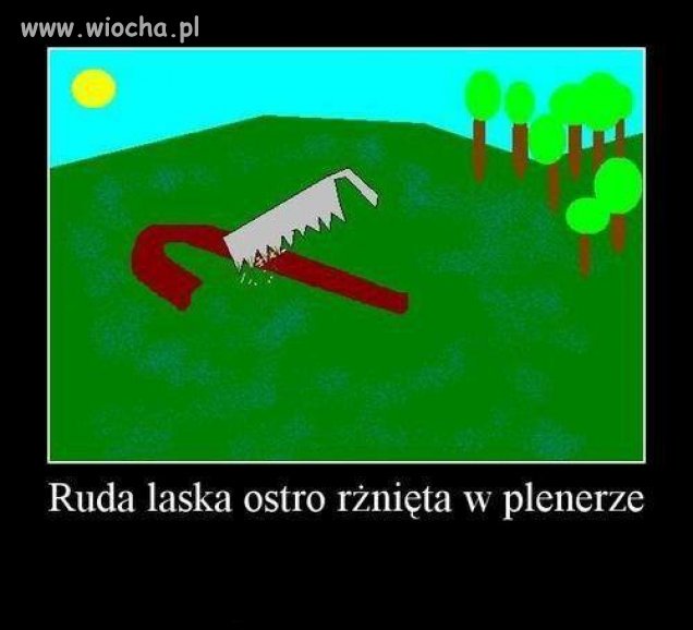 Odrobina rżnięcia 
