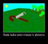 Odrobina rżnięcia 