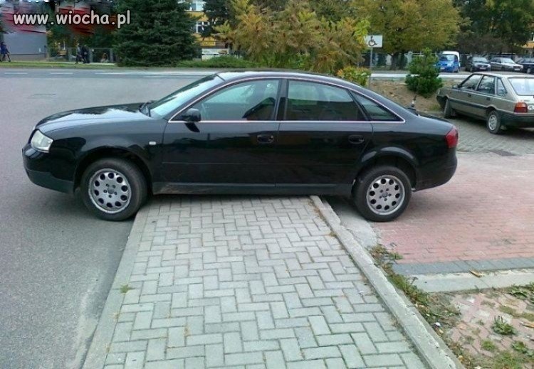 Mistrz kierownicy  