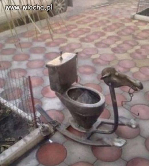 WC na biegunach