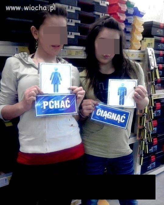 Gimbaza w akcji