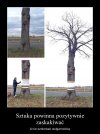 Można