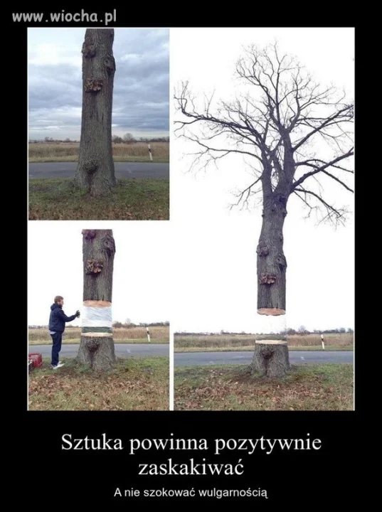Można