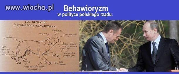 Samiec alfa jest tylko jeden.