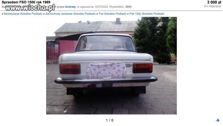 Mistrz