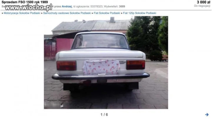 Mistrz