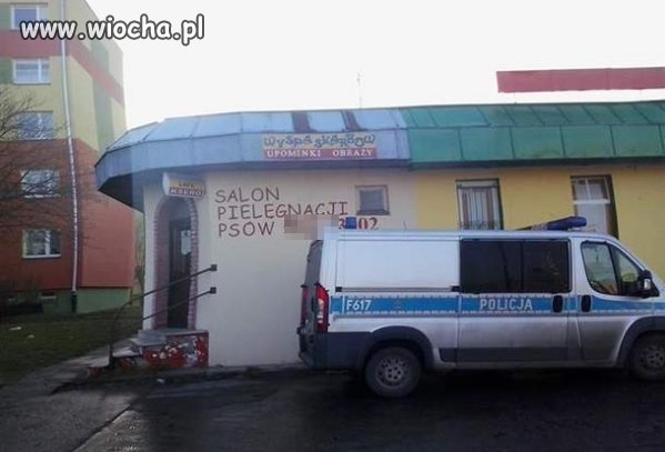 Poszli się odpicować 