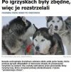 To jeszcze wiocha czy już k***two?