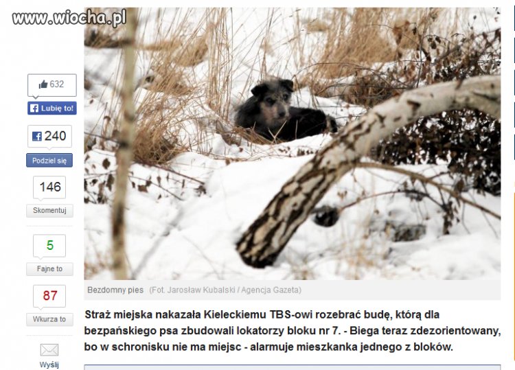 Przygłupy to mało powiedziane...