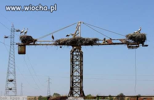 Wiosnę już widać a roboty stoją