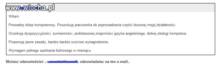 Oferta pracy...