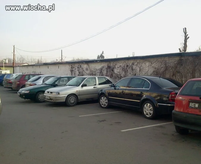 Kolejny mistrz parkowania