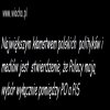 Zapewne kłamstwa