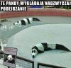 Podejrzanie wyglądające pandy