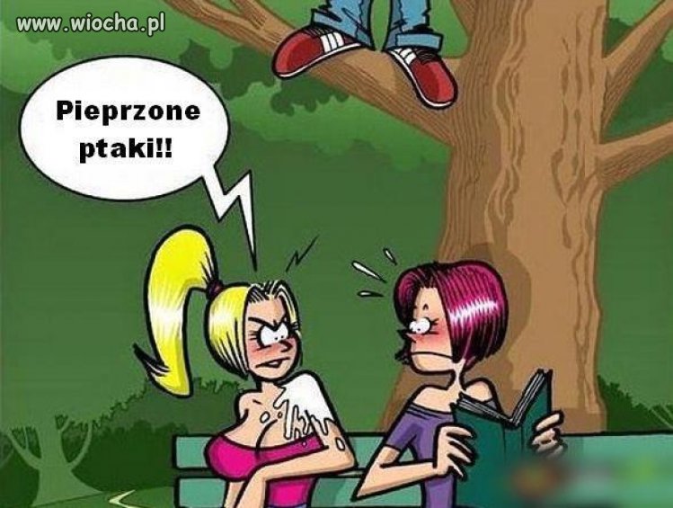 Ach te ptaszki...