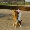 Odwaga to bardzo pozytywna cecha