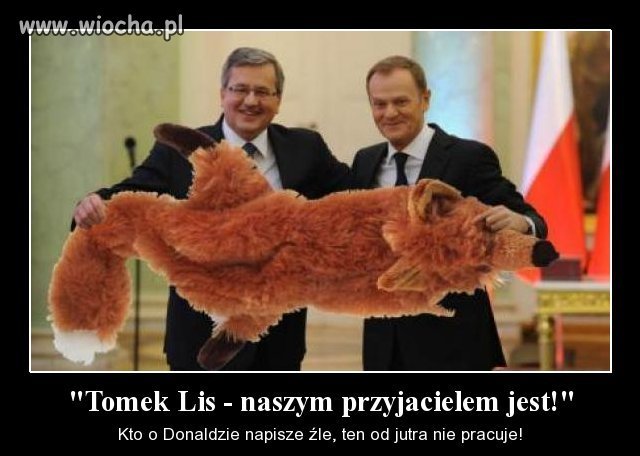 Wydaje mi się,