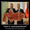 Wydaje mi się,
